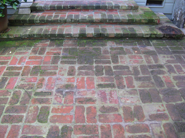Pressure Washing Surface Cleaning Brick