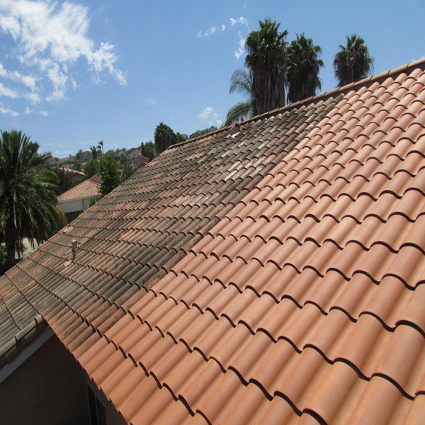 Roof Cleaning Before & After 